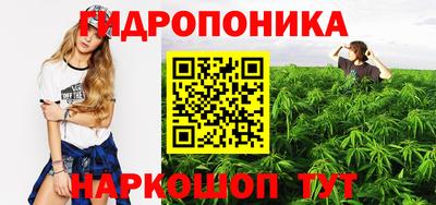 индика Балашиха