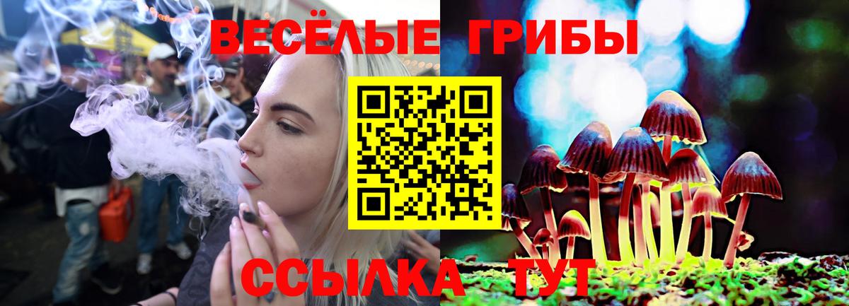 Галлюциногенные грибы прущие грибы  где купить наркотик  Вход с VPN  Губкинский  Галлюциногенные грибы Psilocybine cubensis 